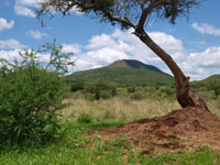 Landschaftsaufnahme Namibia