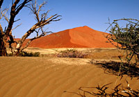 Sossusvlei